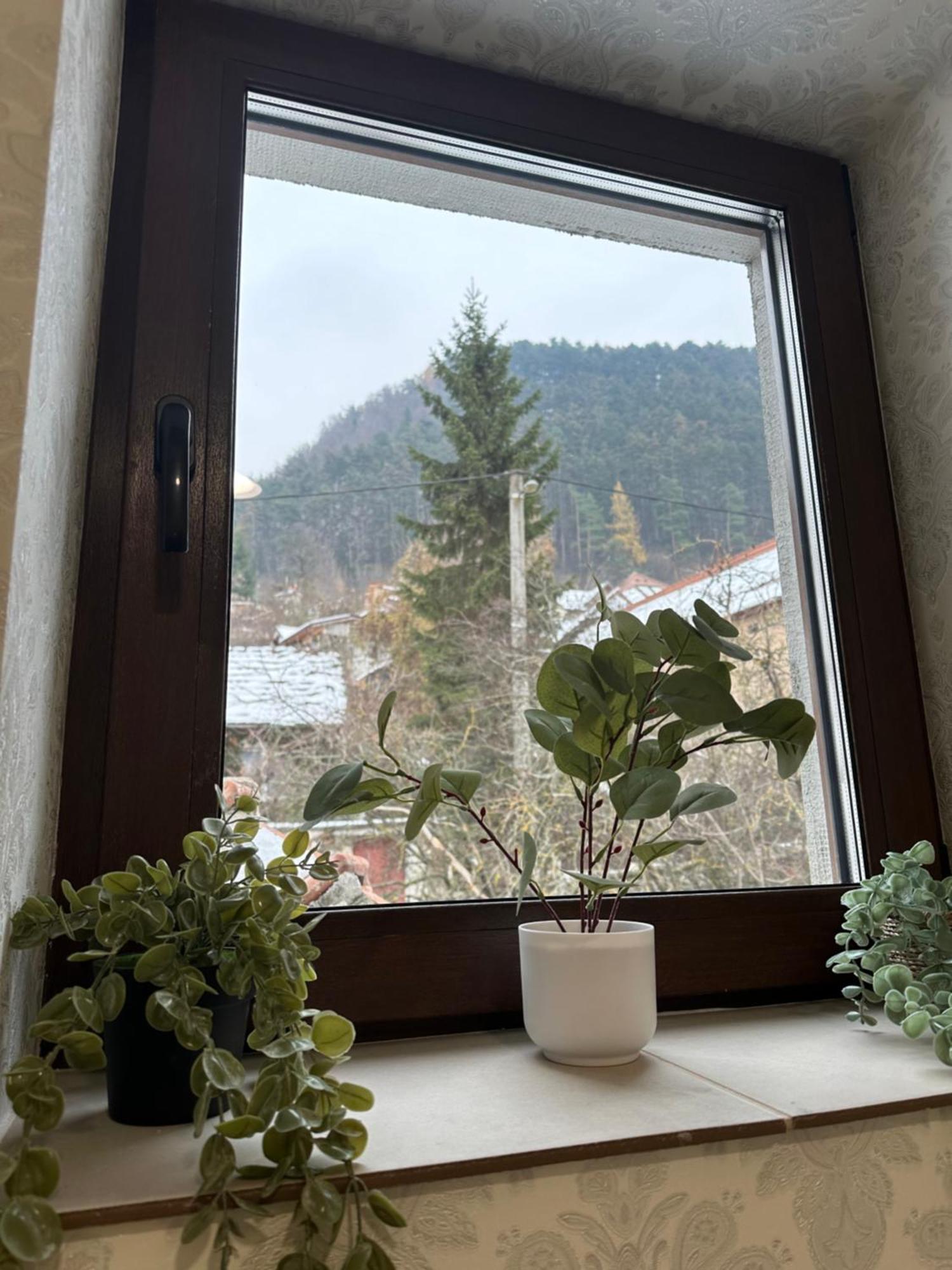 Schei House Apartment Brasov Bagian luar foto